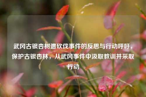 武冈古银杏树遭砍伐事件的反思与行动呼吁，保护古银杏林，从武冈事件中汲取教训并采取行动