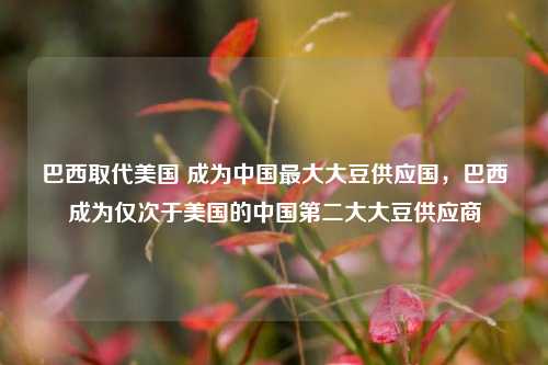 巴西取代美国 成为中国最大大豆供应国，巴西成为仅次于美国的中国第二大大豆供应商