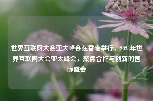 世界互联网大会亚太峰会在香港举行，2023年世界互联网大会亚太峰会，聚焦合作与创新的国际盛会