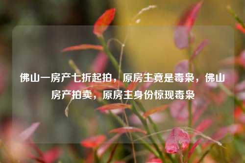 佛山一房产七折起拍，原房主竟是毒枭，佛山房产拍卖，原房主身份惊现毒枭