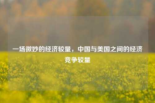 一场微妙的经济较量，中国与美国之间的经济竞争较量