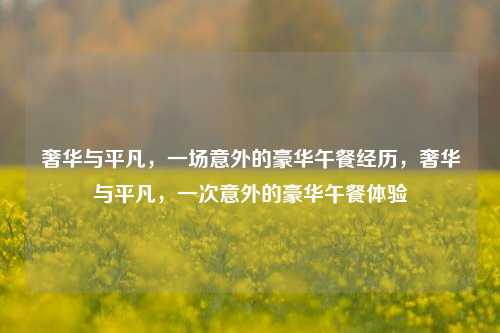 奢华与平凡，一场意外的豪华午餐经历，奢华与平凡，一次意外的豪华午餐体验