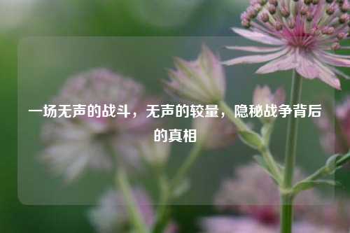 一场无声的战斗，无声的较量，隐秘战争背后的真相