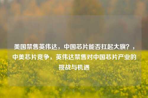 美国禁售英伟达，中国芯片能否扛起大旗？，中美芯片竞争，英伟达禁售对中国芯片产业的挑战与机遇
