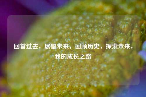 回首过去，展望未来，回顾历史，探索未来，我的成长之路