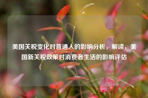 美国关税变化对普通人的影响分析，解读，美国新关税政策对消费者生活的影响评估