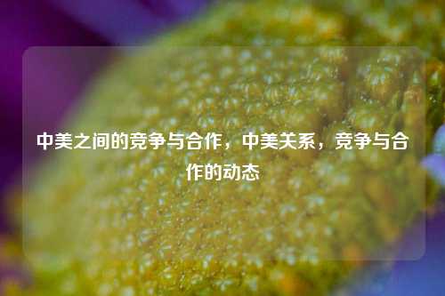 中美之间的竞争与合作，中美关系，竞争与合作的动态