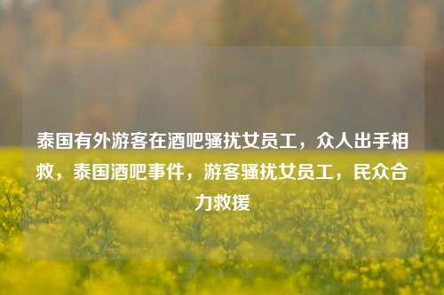 泰国有外游客在酒吧骚扰女员工，众人出手相救，泰国酒吧事件，游客骚扰女员工，民众合力救援