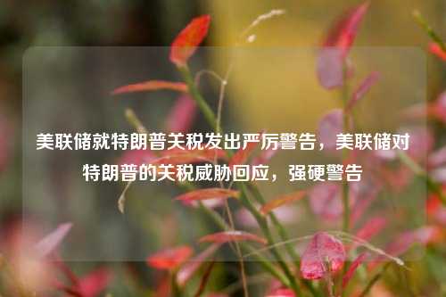 美联储就特朗普关税发出严厉警告，美联储对特朗普的关税威胁回应，强硬警告