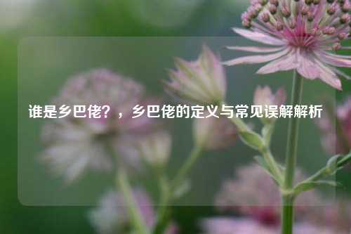 谁是乡巴佬？，乡巴佬的定义与常见误解解析