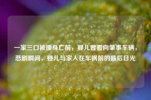 一家三口被撞身亡前，婴儿曾看向肇事车辆，悲剧瞬间，婴儿与家人在车祸前的最后目光