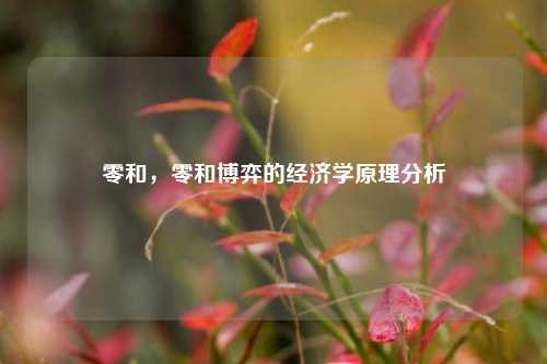 零和，零和博弈的经济学原理分析