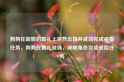 狗狗在新娘的婚礼上突然出现并成功完成戒指任务，狗狗在婚礼现场，神秘角色完成戒指任务