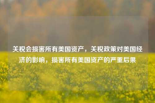 关税会损害所有美国资产，关税政策对美国经济的影响，损害所有美国资产的严重后果