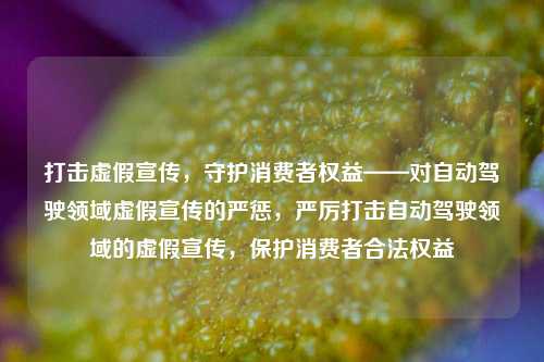 打击虚假宣传，守护消费者权益——对自动驾驶领域虚假宣传的严惩，严厉打击自动驾驶领域的虚假宣传，保护消费者合法权益