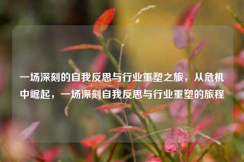一场深刻的自我反思与行业重塑之旅，从危机中崛起，一场深刻自我反思与行业重塑的旅程