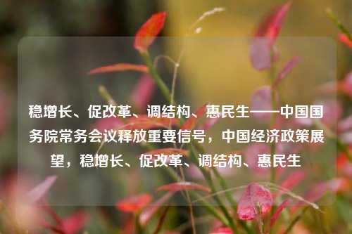 稳增长、促改革、调结构、惠民生——中国国务院常务会议释放重要信号，中国经济政策展望，稳增长、促改革、调结构、惠民生