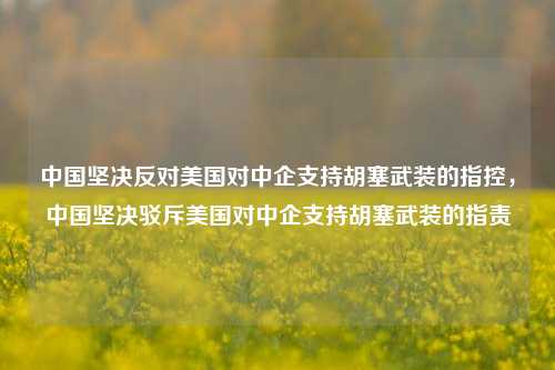 中国坚决反对美国对中企支持胡塞武装的指控，中国坚决驳斥美国对中企支持胡塞武装的指责