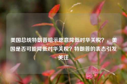 美国总统特朗普暗示愿意降低对华关税？，美国是否可能降低对华关税？特朗普的表态引发关注