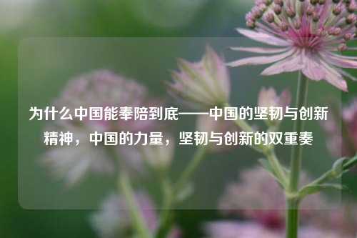 为什么中国能奉陪到底——中国的坚韧与创新精神，中国的力量，坚韧与创新的双重奏