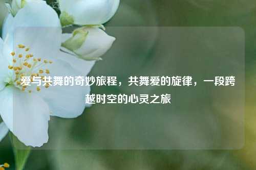 爱与共舞的奇妙旅程，共舞爱的旋律，一段跨越时空的心灵之旅