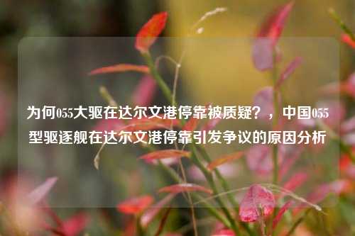 为何055大驱在达尔文港停靠被质疑？，中国055型驱逐舰在达尔文港停靠引发争议的原因分析