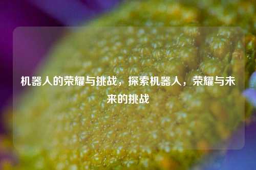 机器人的荣耀与挑战，探索机器人，荣耀与未来的挑战