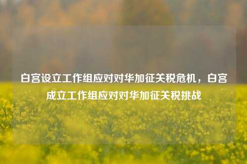 白宫设立工作组应对对华加征关税危机，白宫成立工作组应对对华加征关税挑战