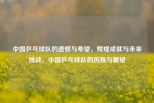 中国乒乓球队的遗憾与希望，辉煌成就与未来挑战，中国乒乓球队的历程与展望