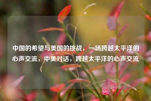 中国的希望与美国的挑战，一场跨越太平洋的心声交流，中美对话，跨越太平洋的心声交流
