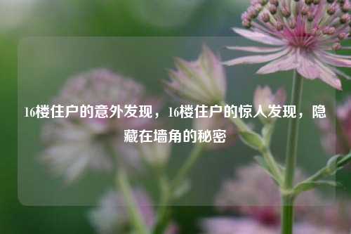 16楼住户的意外发现，16楼住户的惊人发现，隐藏在墙角的秘密