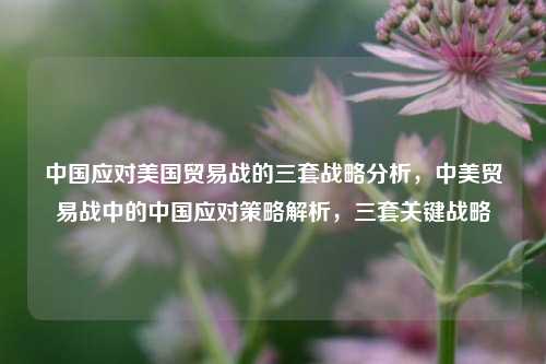 中国应对美国贸易战的三套战略分析，中美贸易战中的中国应对策略解析，三套关键战略