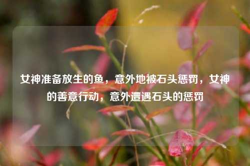 女神准备放生的鱼，意外地被石头惩罚，女神的善意行动，意外遭遇石头的惩罚