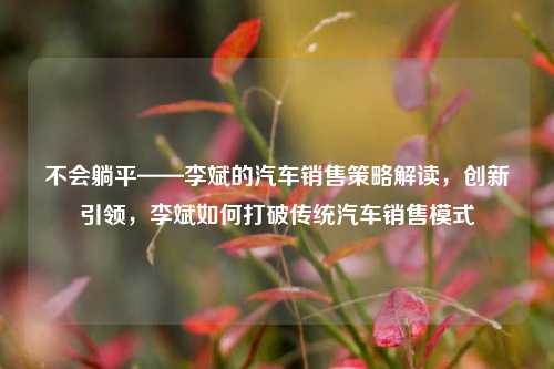 不会躺平——李斌的汽车销售策略解读，创新引领，李斌如何打破传统汽车销售模式