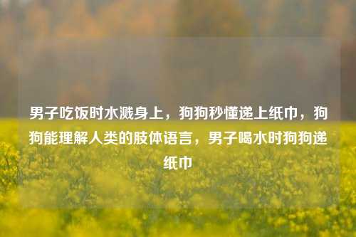 男子吃饭时水溅身上，狗狗秒懂递上纸巾，狗狗能理解人类的肢体语言，男子喝水时狗狗递纸巾