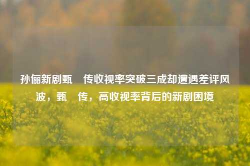 孙俪新剧甄嬛传收视率突破三成却遭遇差评风波，甄嬛传，高收视率背后的新剧困境