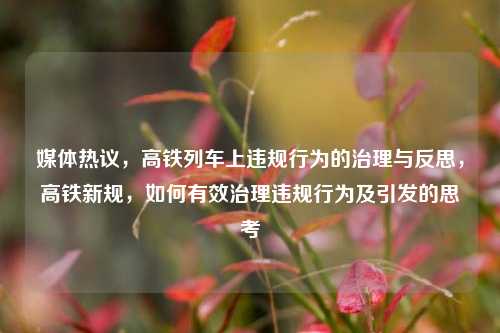 媒体热议，高铁列车上违规行为的治理与反思，高铁新规，如何有效治理违规行为及引发的思考