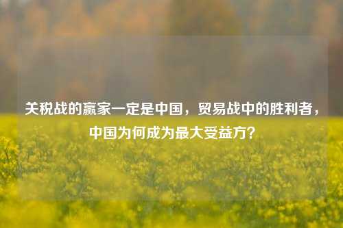 关税战的赢家一定是中国，贸易战中的胜利者，中国为何成为最大受益方？