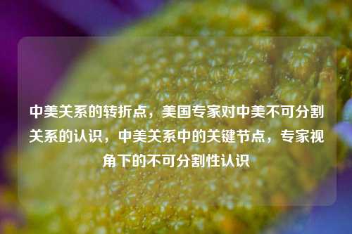 中美关系的转折点，美国专家对中美不可分割关系的认识，中美关系中的关键节点，专家视角下的不可分割性认识