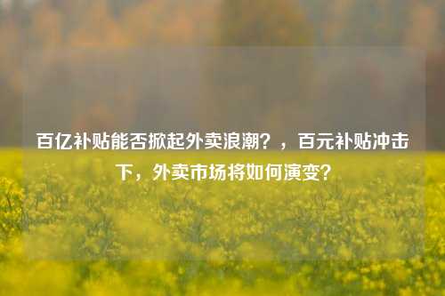 百亿补贴能否掀起外卖浪潮？，百元补贴冲击下，外卖市场将如何演变？