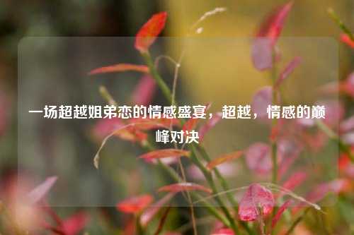 一场超越姐弟恋的情感盛宴，超越，情感的巅峰对决