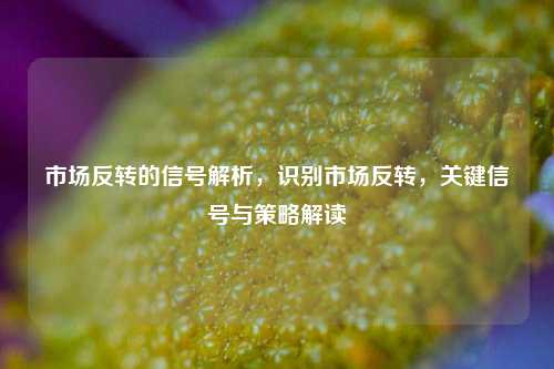 市场反转的信号解析，识别市场反转，关键信号与策略解读