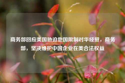 商务部回应美国胁迫他国限制对华经贸，商务部，坚决维护中国企业在美合法权益