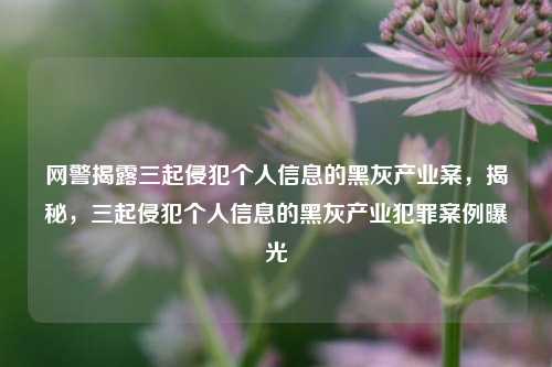 网警揭露三起侵犯个人信息的黑灰产业案，揭秘，三起侵犯个人信息的黑灰产业犯罪案例曝光
