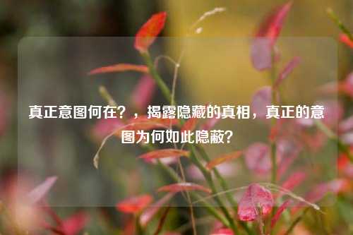 真正意图何在？，揭露隐藏的真相，真正的意图为何如此隐蔽？