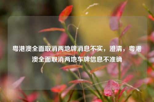 粤港澳全面取消两地牌消息不实，澄清，粤港澳全面取消两地车牌信息不准确