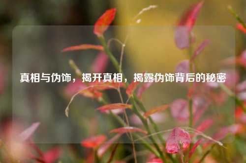 真相与伪饰，揭开真相，揭露伪饰背后的秘密