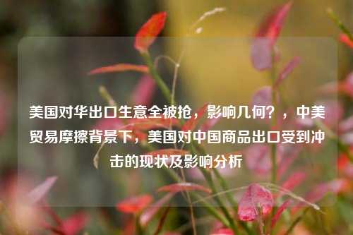 美国对华出口生意全被抢，影响几何？，中美贸易摩擦背景下，美国对中国商品出口受到冲击的现状及影响分析