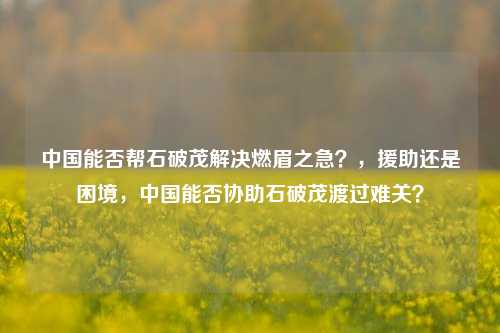 中国能否帮石破茂解决燃眉之急？，援助还是困境，中国能否协助石破茂渡过难关？