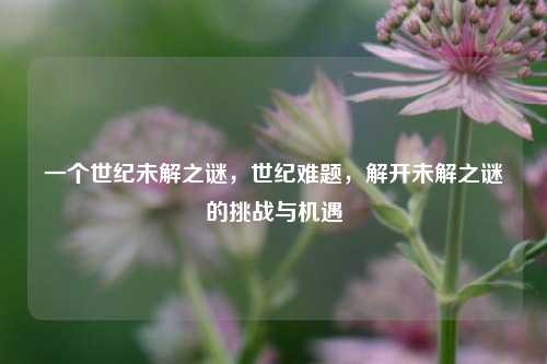 一个世纪未解之谜，世纪难题，解开未解之谜的挑战与机遇